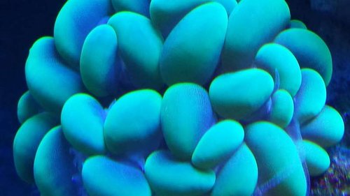 20130717_231114.jpg