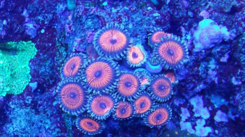 20130709_220822.jpg