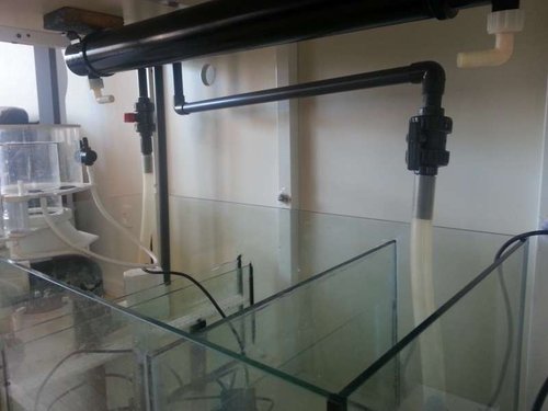 20130723_160100.jpg