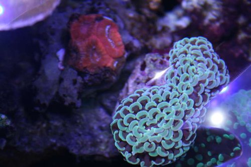 IMG_9249.JPG