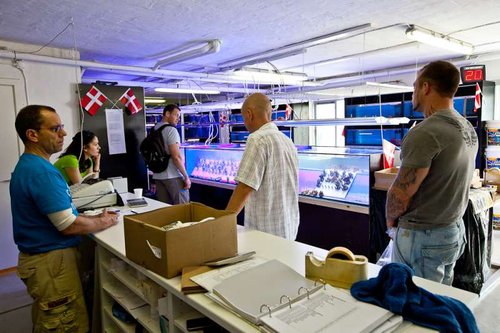 NYB (18 of 27).jpg