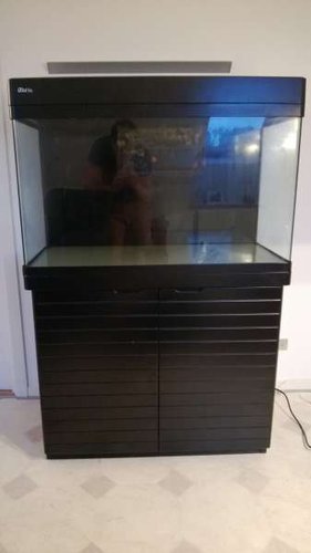 WP_20130801_007.jpg