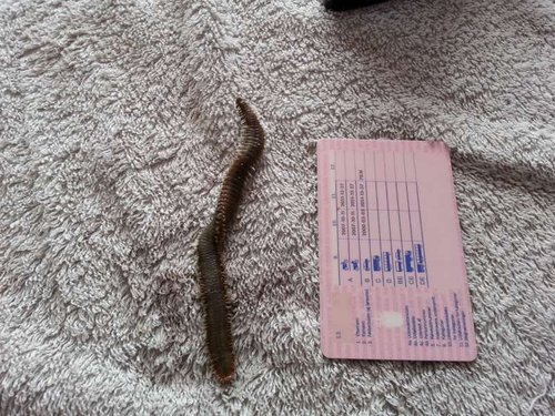 20130808_173548.jpg