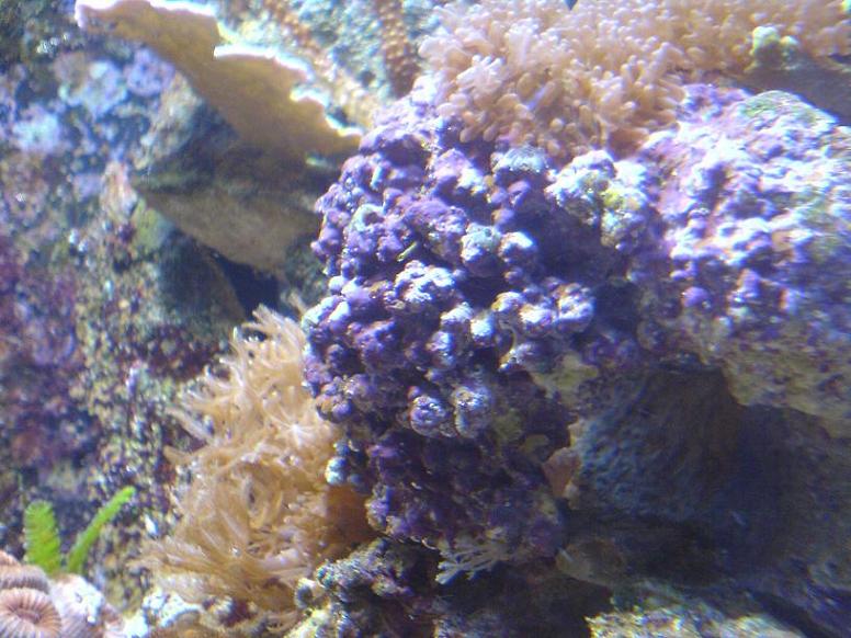 DSC00314.JPG