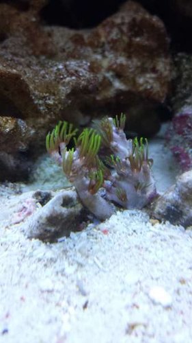 20130716_160421.jpg