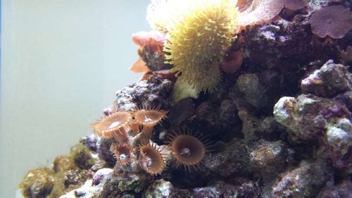 20130716_161107.jpg