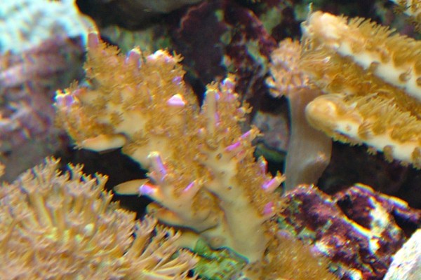 No 1 (600 x 400).jpg