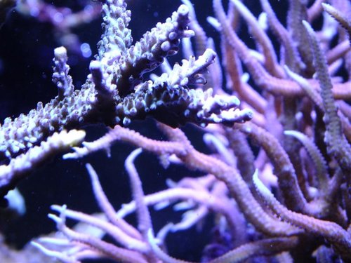 DSCF8798 (Medium).jpg