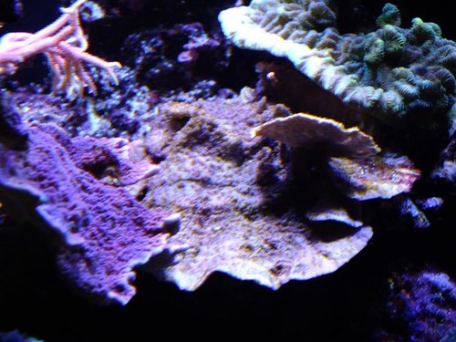 DSCF8801 (Medium).jpg