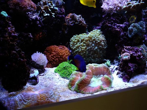 DSCF8785 (Medium).jpg