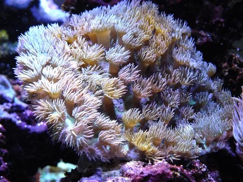 DSCF8606 (Medium).jpg