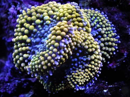 DSCF8608 (Medium).jpg