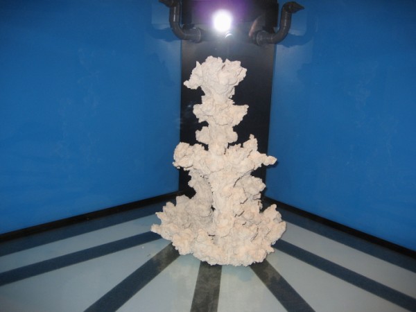 BTN modul v 022 (600 x 450).jpg
