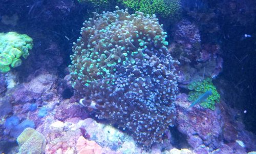 20130903_181208.jpg