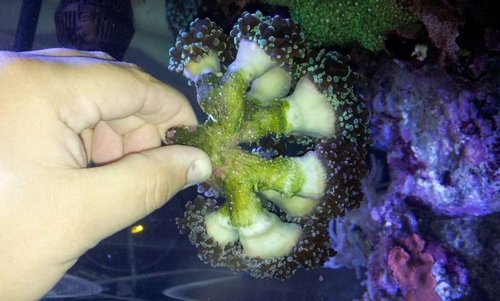 20130903_181359.jpg