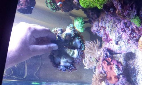 20130903_181418.jpg