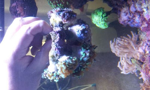 20130903_181455.jpg