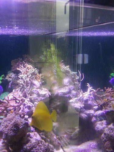 20130904_162836.jpg