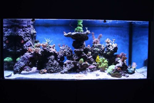 FTS.JPG