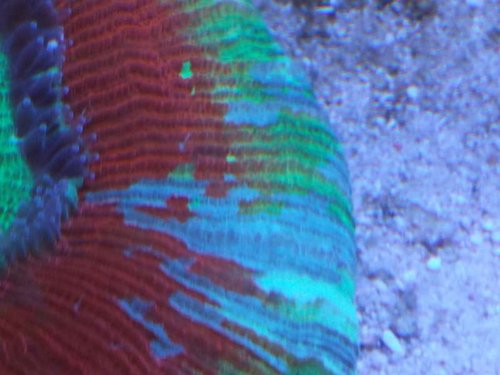 20130902_192215.jpg
