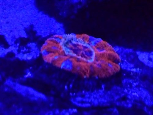 20130831_204815.jpg