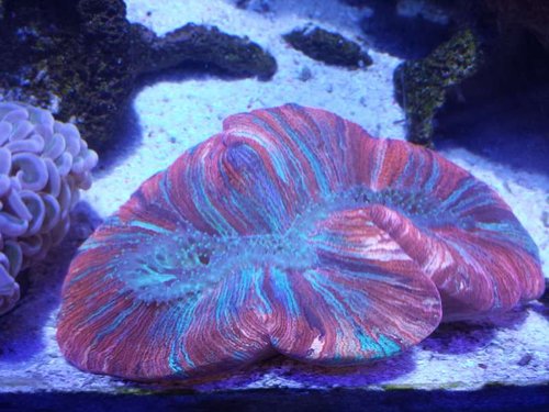 20130704_193355.jpg