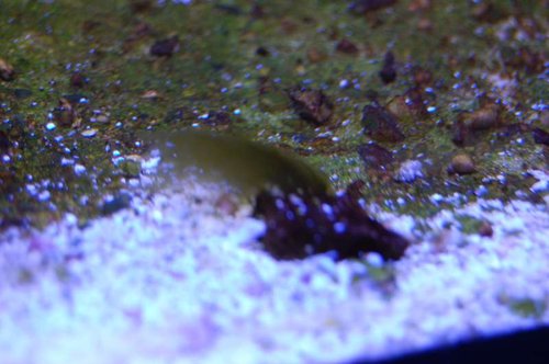 DSC_4993.JPG