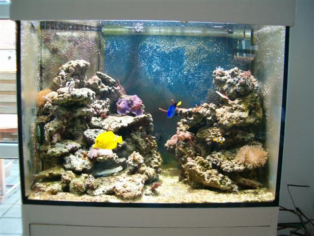 HPIM0549 (Small).JPG