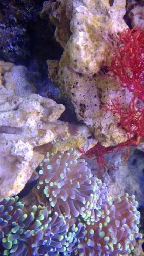 WP_20130911_21_38_45_Pro.jpg