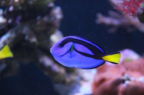 IMG_0278.JPG