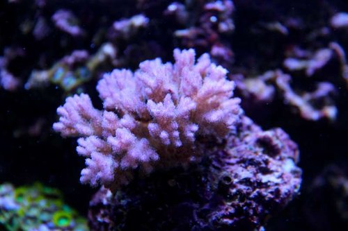 IMG_0257.JPG