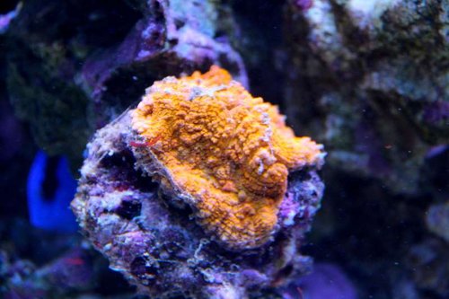 IMG_0255.JPG