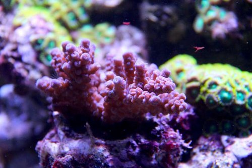 IMG_0254.JPG