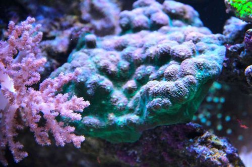 IMG_0250.JPG