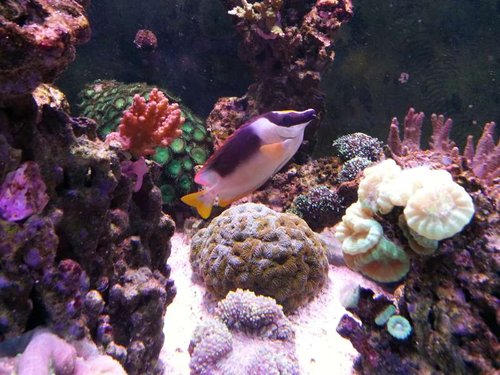 20130915_181310.jpg