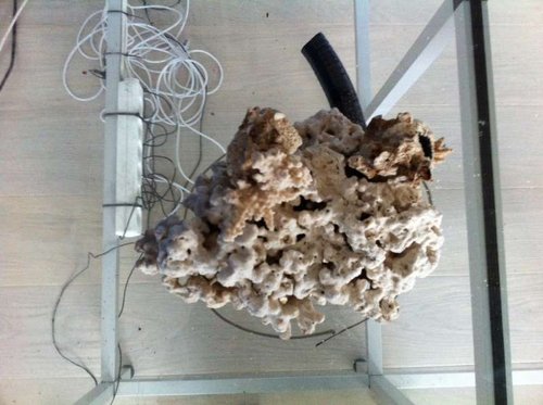 p4.JPG (49.15 KiB) Vist 2135 gange Polyp stenen set fra oven. På forrige side er der et billede af denne før rørene blev dækket til