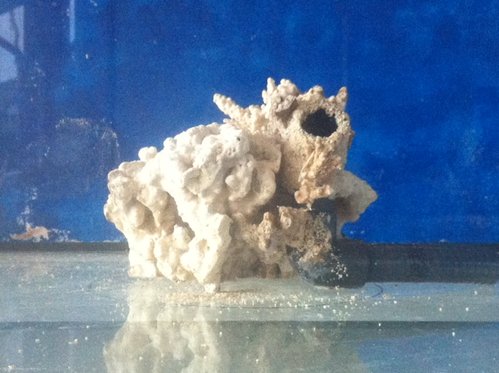 p2.JPG (133 KiB) Vist 2017 gange Polyp stenen, en af udblæsningerne ses her. Der mangler lidt småsten til at kamuflere udmundingen af røret lidt bedre.