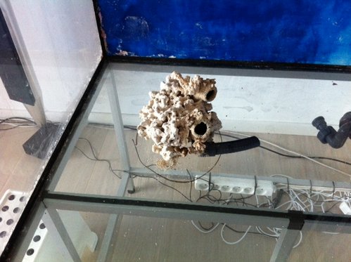 p5.JPG (131.59 KiB) Vist 2135 gange Polypstenen set skråt fra oven. Her ses begge udblæsninger.