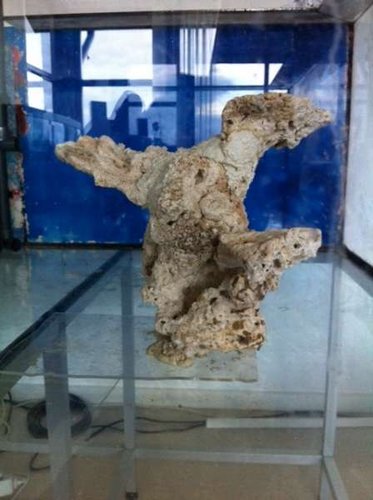 s1.JPG (28.39 KiB) Vist 2017 gange Søjlen set fra den vinkel hvor udløbene ikke kan ses