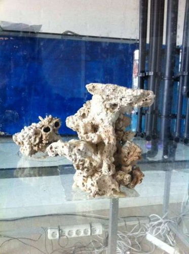 s3.JPG (31.4 KiB) Vist 2017 gange Søjlen set fra den anden vinkel, hvor udløbene er synlige på højre side af den. Der mangler stadig lidt småsten for at skjule dem helt - lur mig om der ikke kunne komme til at vokse lidt polypper på disse også...