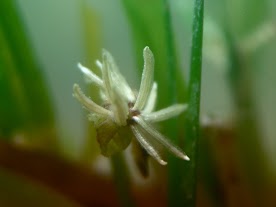 P9278685_2.JPG
