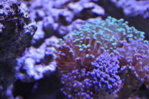 DSC_0486.JPG