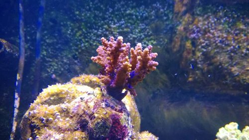 WP_20130917_21_52_10_Pro.jpg