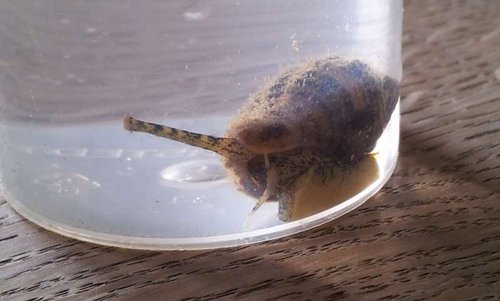 20130922_133754.jpg