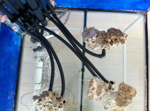 IMG_0161.JPG (49.12 KiB) Vist 2087 gange Rørføring til OM er lavet. Nu skal den bare fikseres til bunden og de sidste sten. Her ses 5 slanger til 5 udmundinger i stensætningen. Der er 1 udmunding mere i sten sætningen, men den sidder højt, så her er slangen ført gennem en sten i stedet.