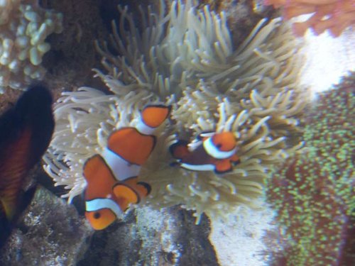 20130922_181634.jpg