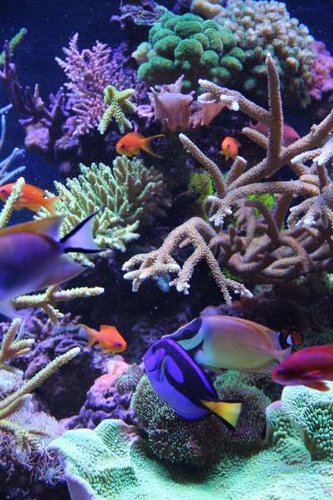 IMG_0419.jpg