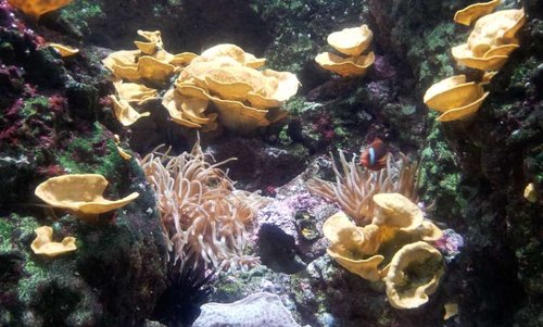 20130915_162343.jpg
