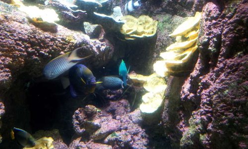 20130915_162417.jpg