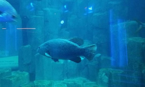 20130915_162933.jpg